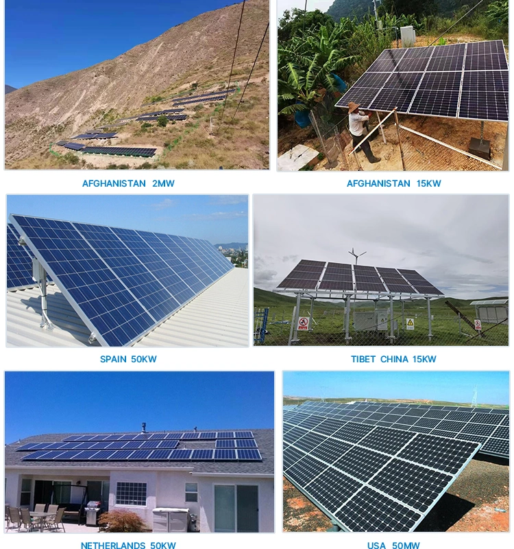 3 Kw 5kw Olu5048maxii on off Grid High Frequency Inverter Hybrid Solar with MPPT Controller Technology IP20 Protection